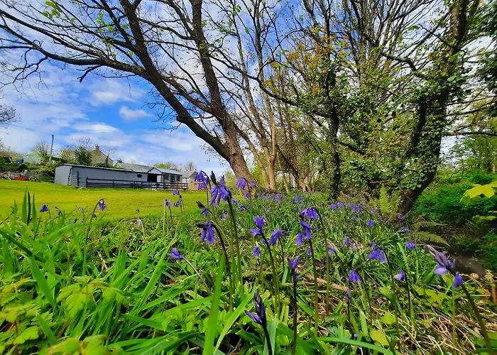 Beautiful Cabin Near Padstow
